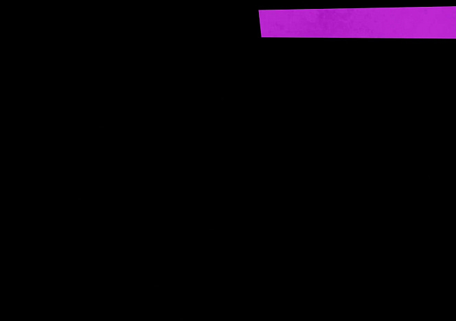 Penny_Dolly_22
